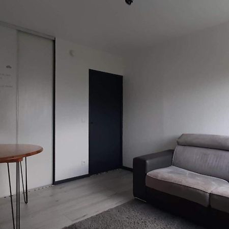Studio Cosy Lyon Lião Exterior foto