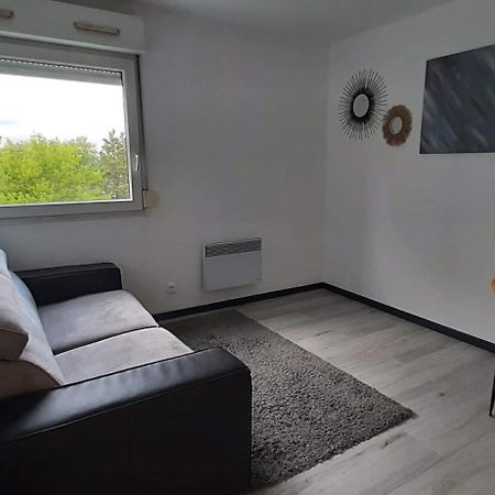 Studio Cosy Lyon Lião Exterior foto