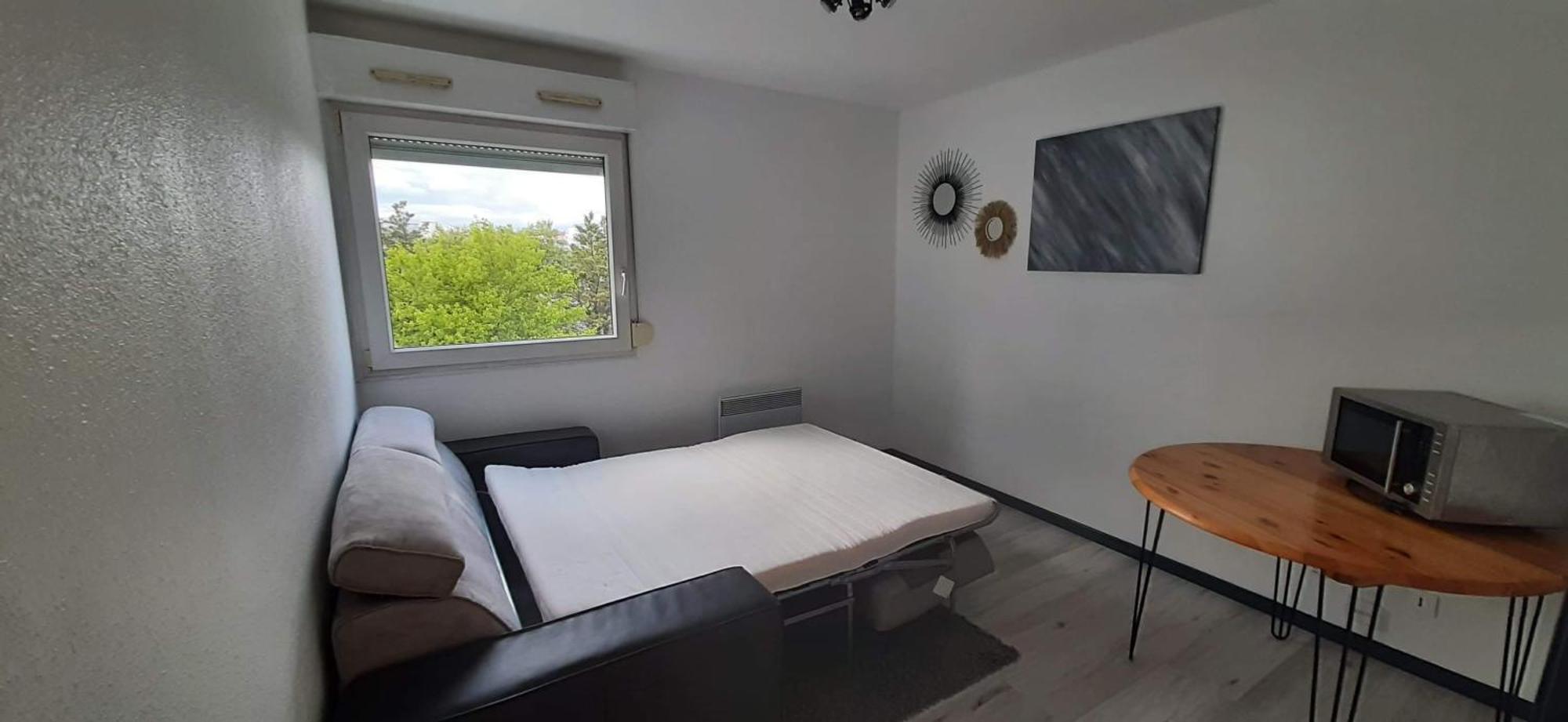 Studio Cosy Lyon Lião Exterior foto