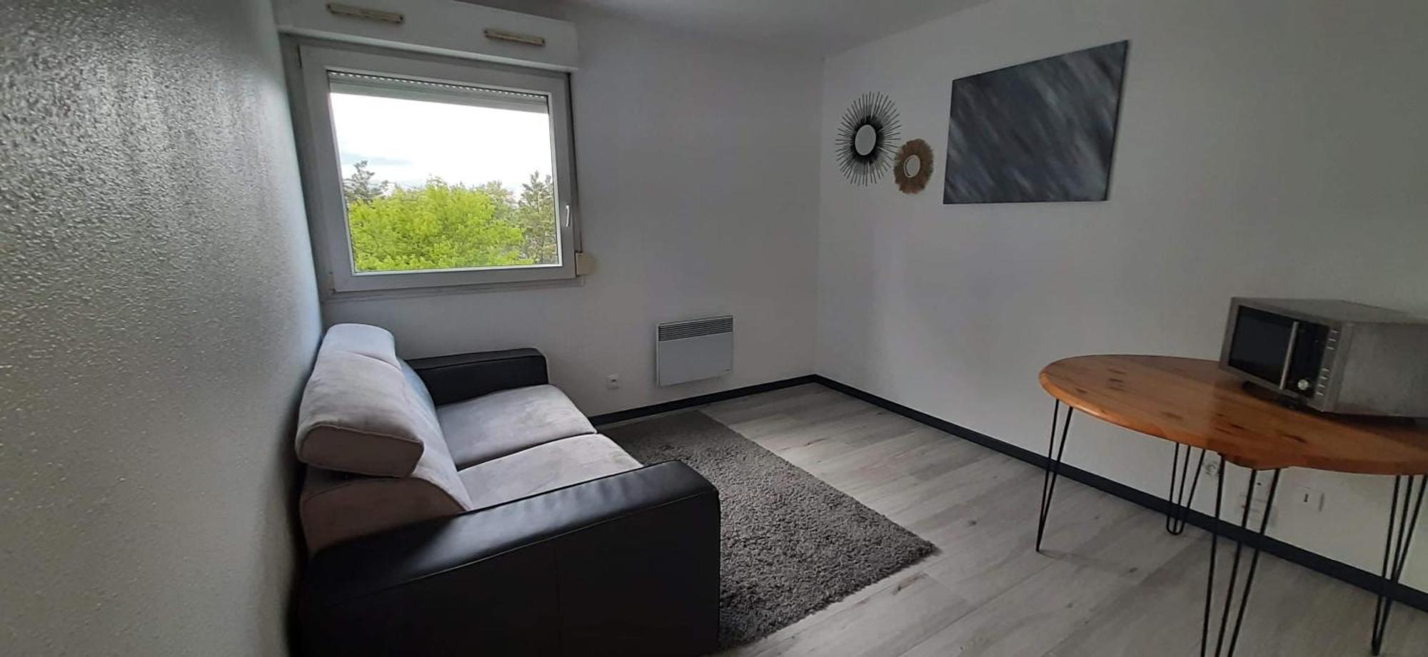 Studio Cosy Lyon Lião Exterior foto